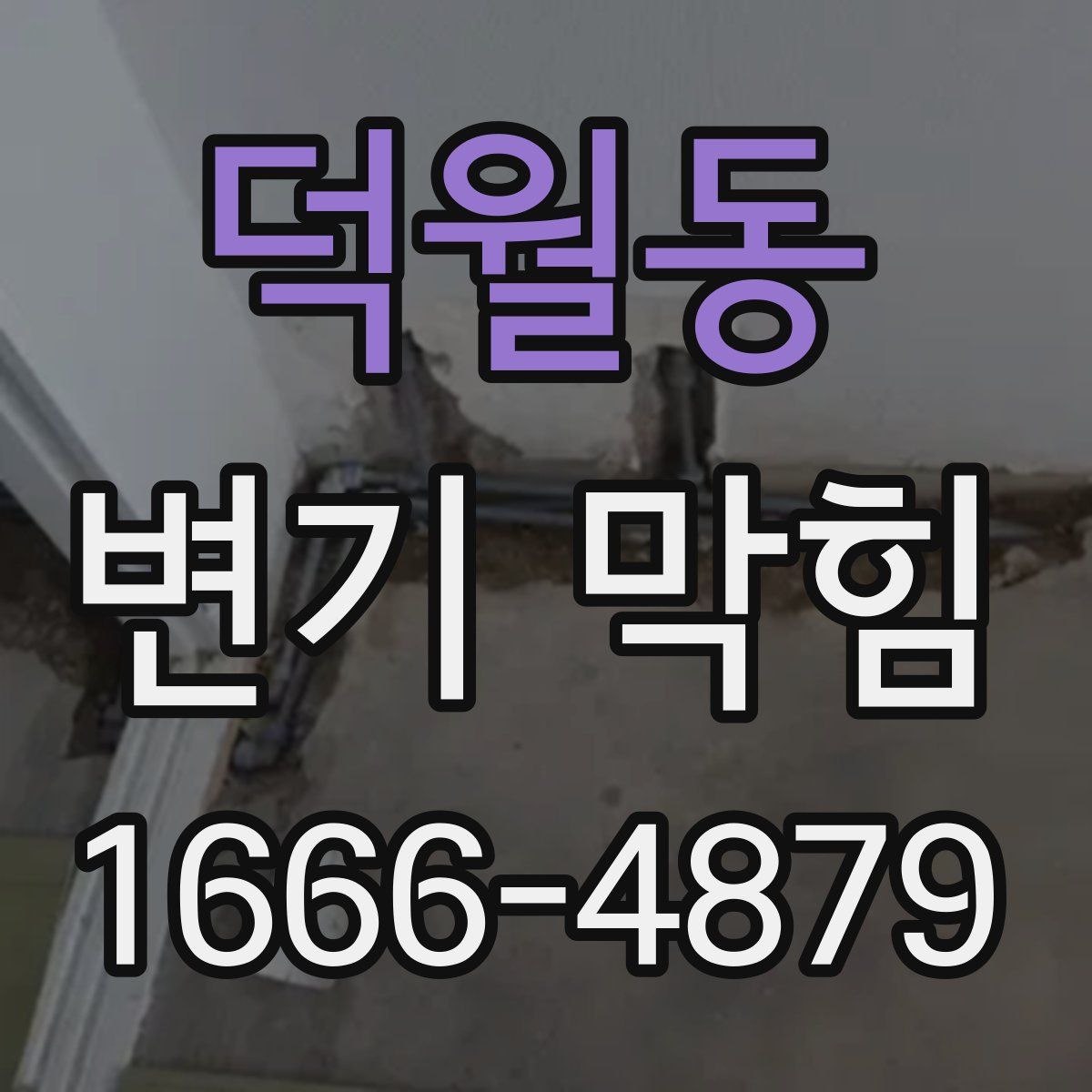 덕월동 변기 막힘