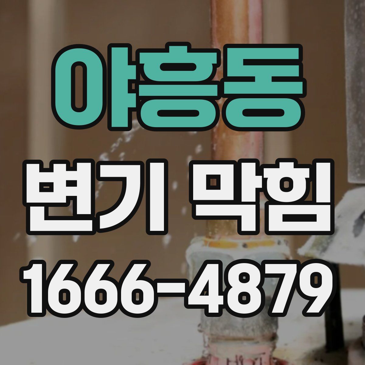 야흥동 변기 막힘