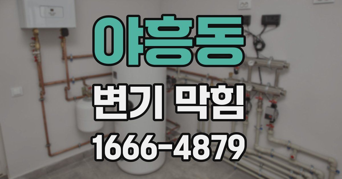 야흥동 변기 막힘