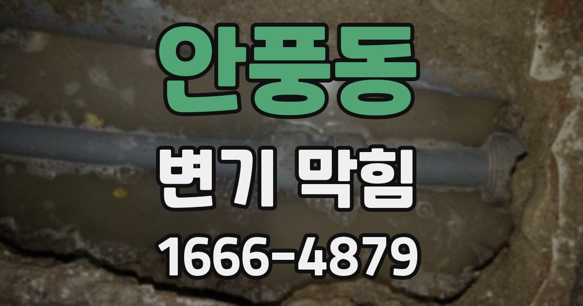 안풍동 변기 막힘