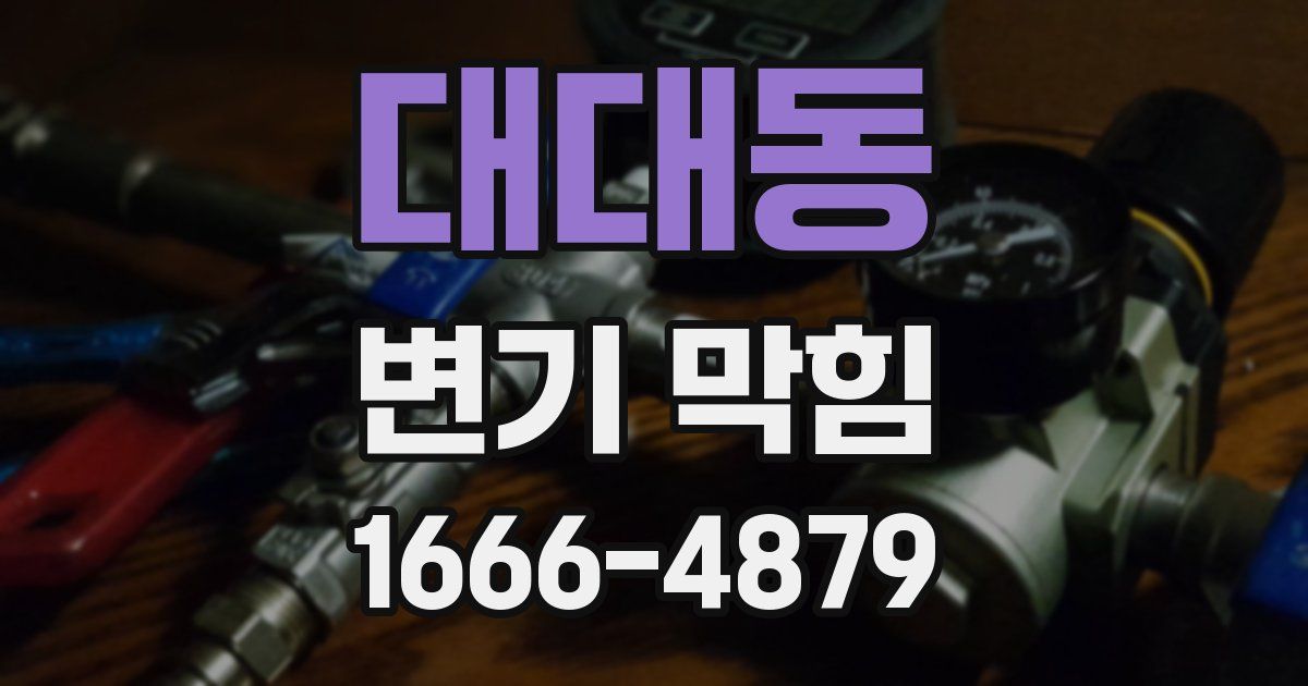 대대동 변기 막힘