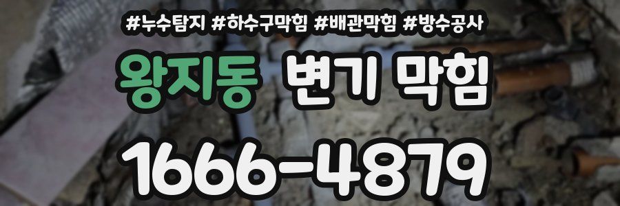 왕지동 변기 막힘
