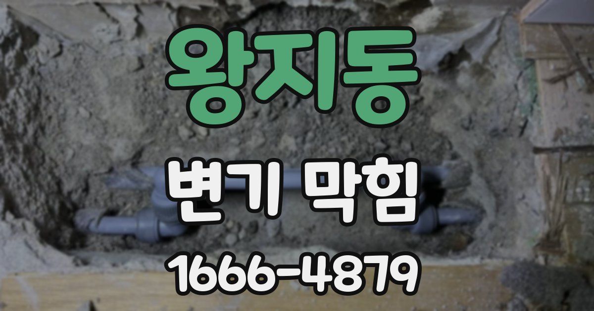 왕지동 변기 막힘