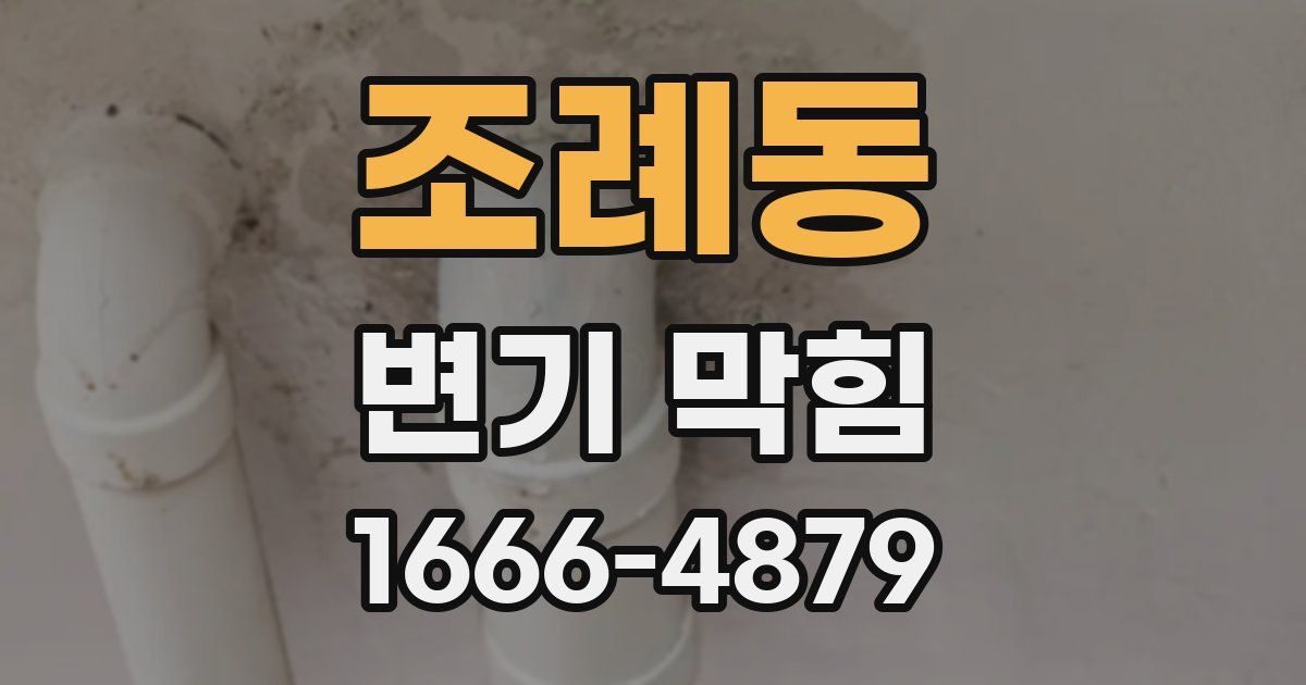 조례동 변기 막힘