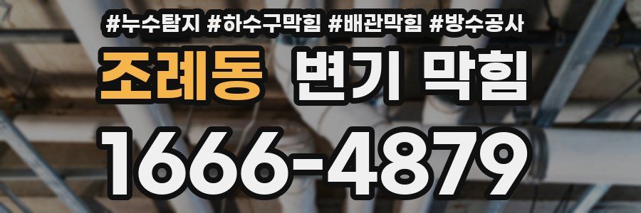 조례동 변기 막힘