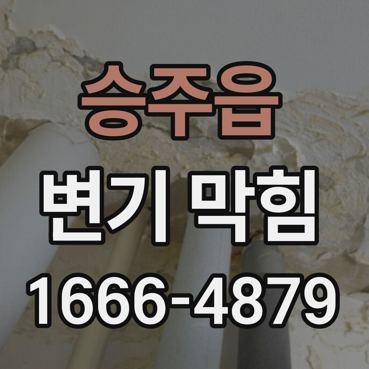 승주읍 변기 막힘