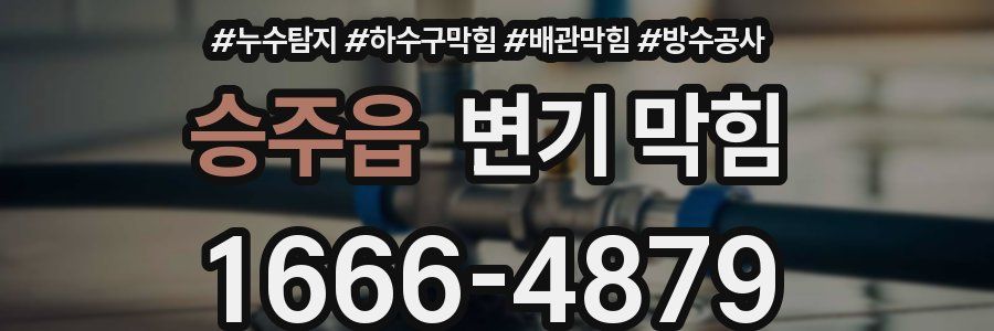 승주읍 변기 막힘