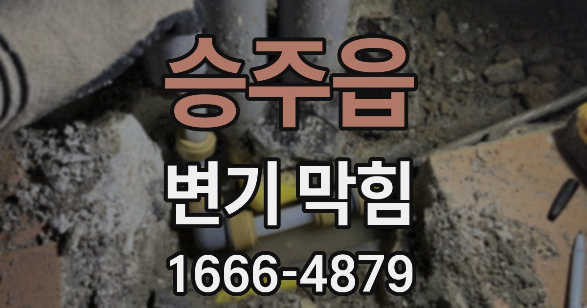 승주읍 변기 막힘