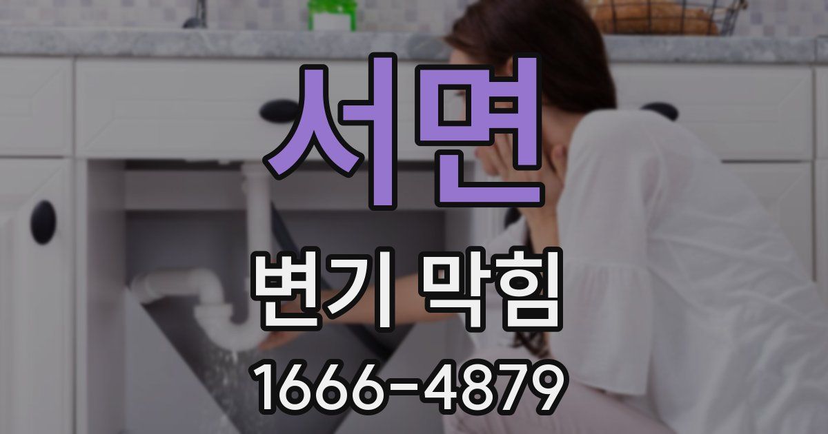 서면 변기 막힘