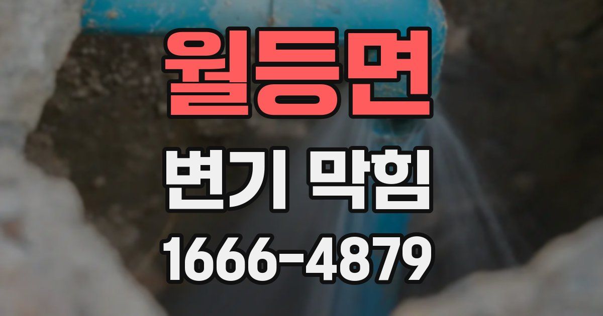 월등면 변기 막힘