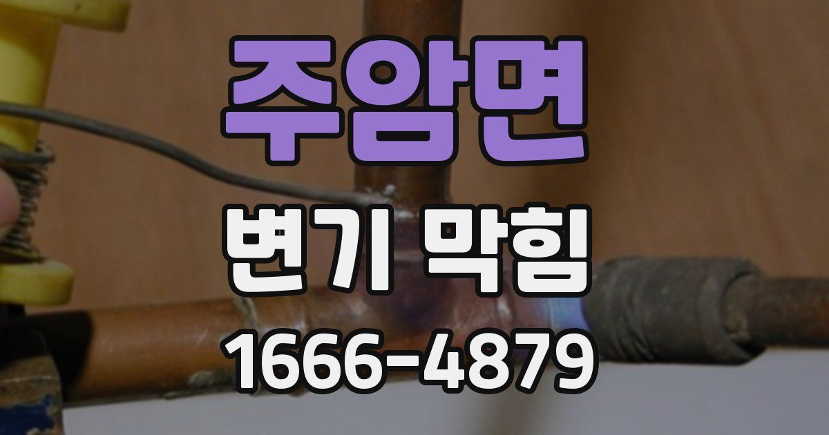 주암면 변기 막힘