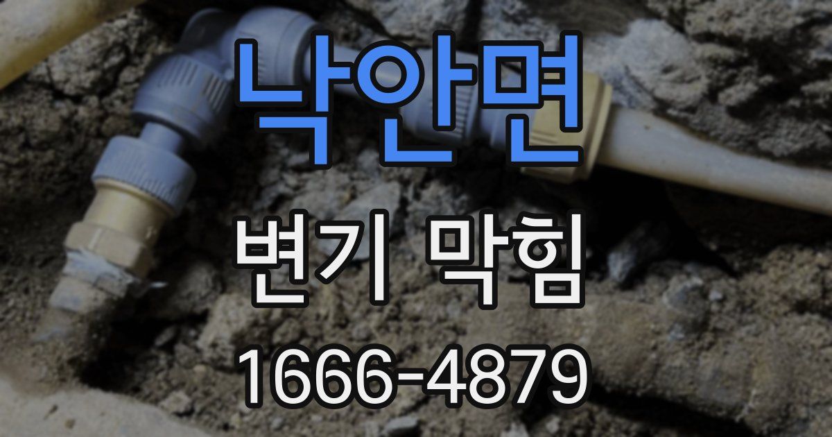 낙안면 변기 막힘