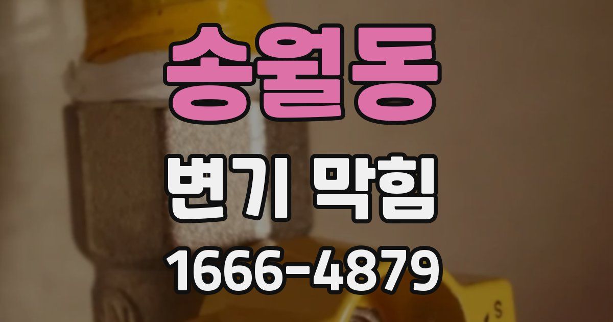 송월동 변기 막힘