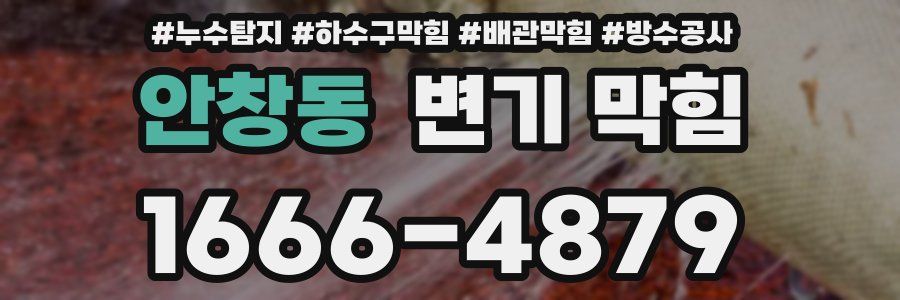 안창동 변기 막힘