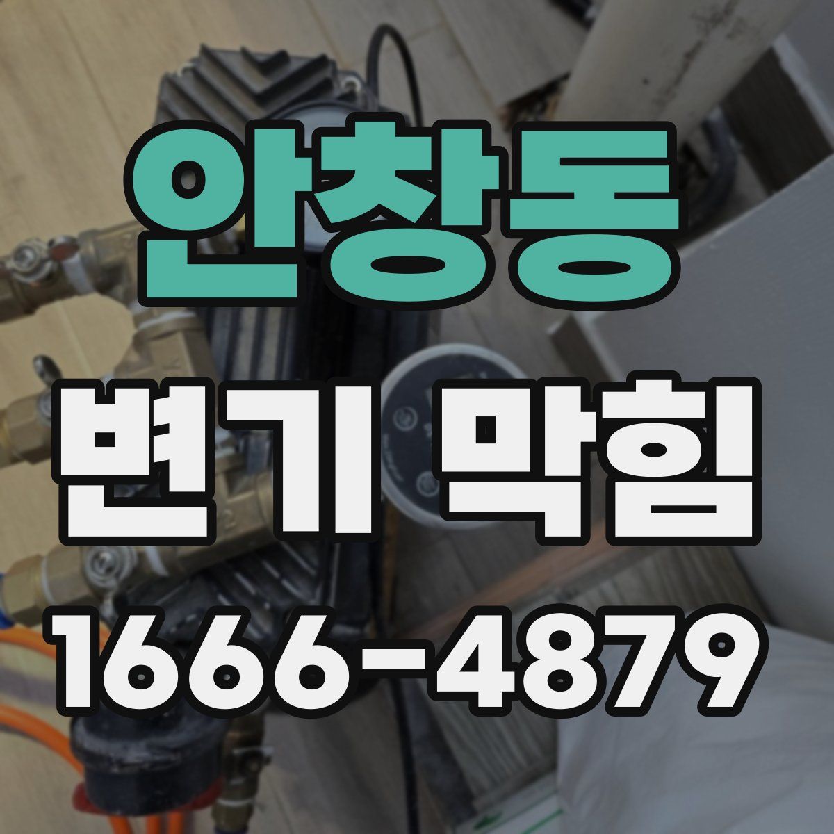 안창동 변기 막힘