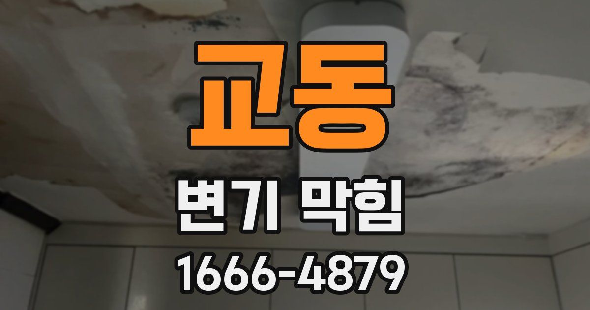 교동 변기 막힘