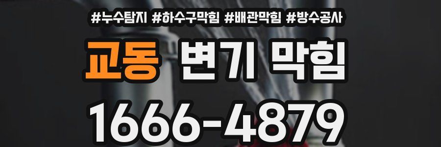 교동 변기 막힘