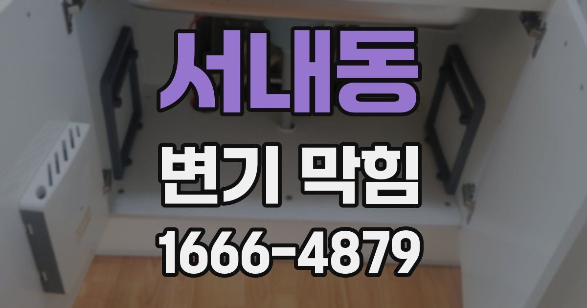 서내동 변기 막힘