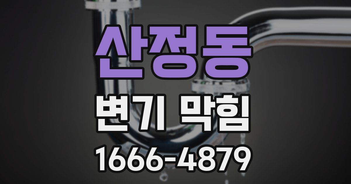 산정동 변기 막힘