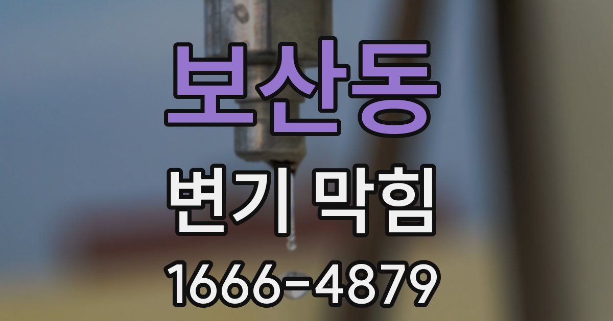 보산동 변기 막힘
