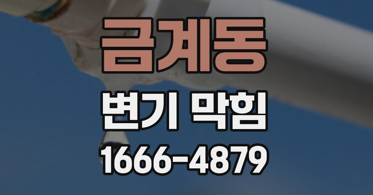 금계동 변기 막힘