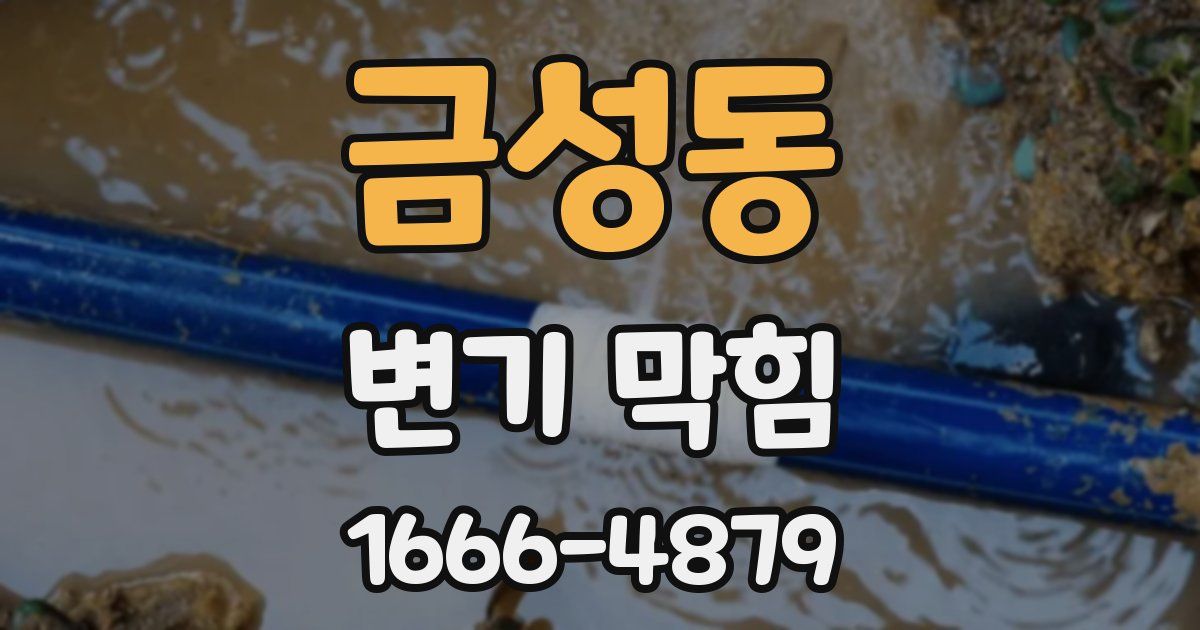 금성동 변기 막힘