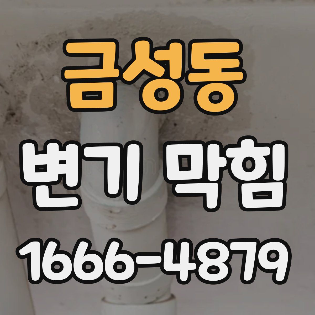금성동 변기 막힘