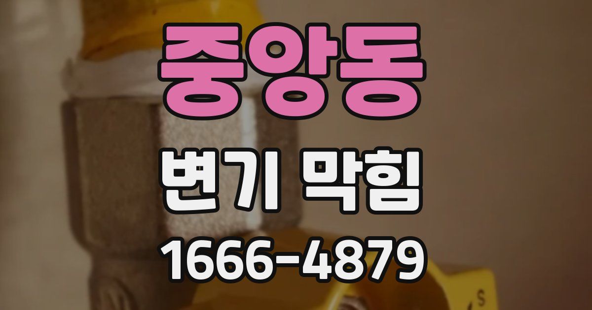 중앙동 변기 막힘