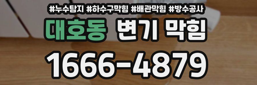 대호동 변기 막힘