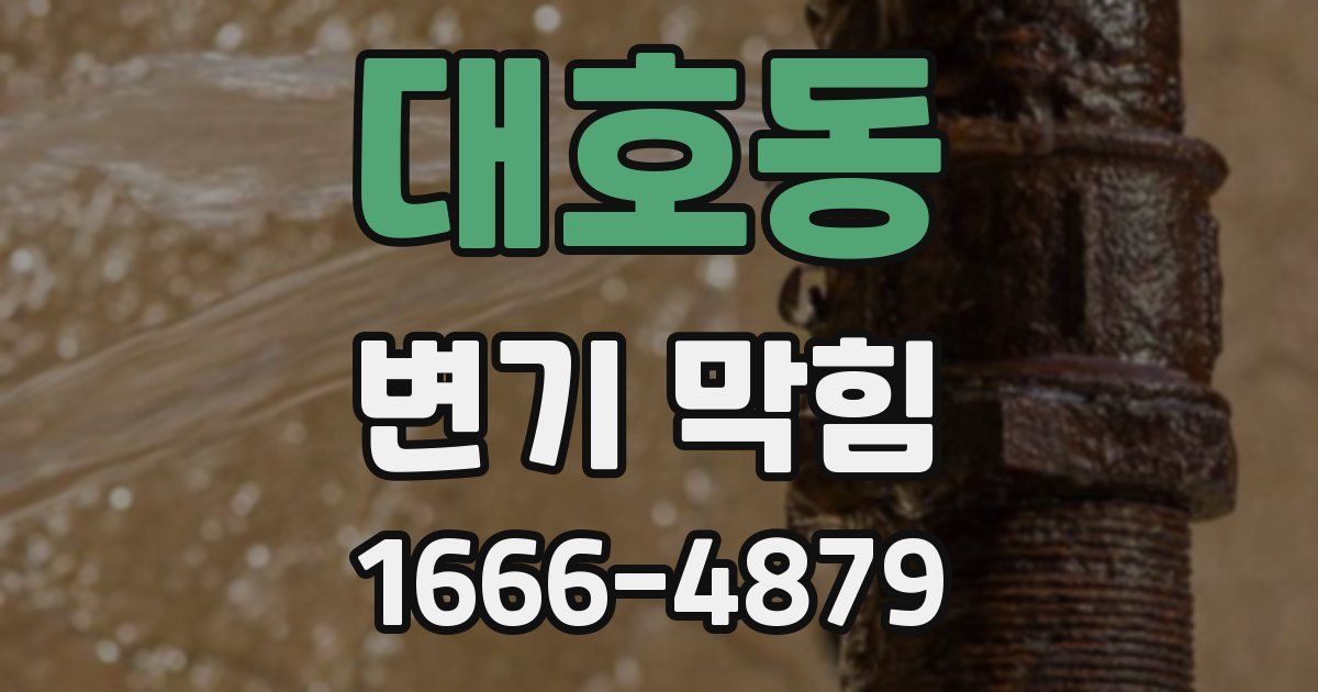 대호동 변기 막힘