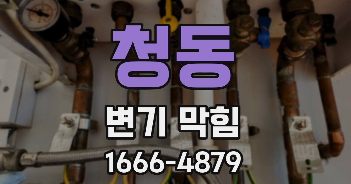 청동 변기 막힘