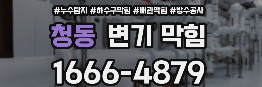 청동 변기 막힘