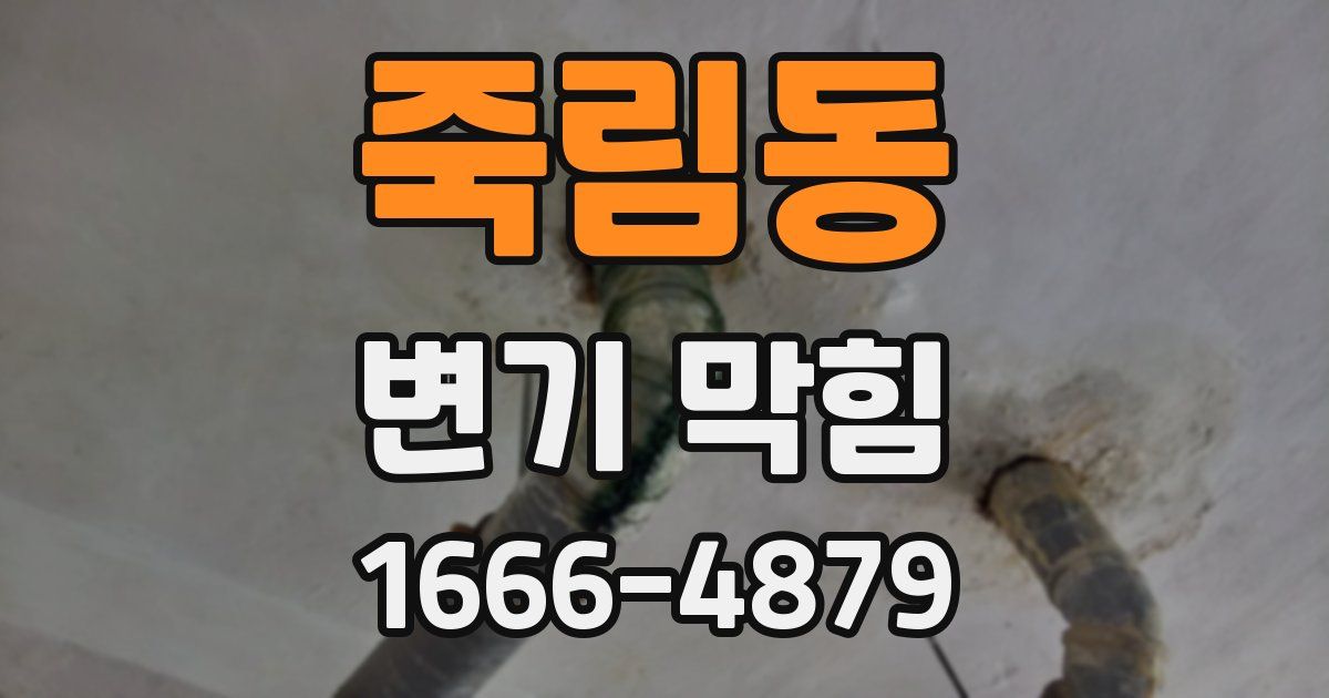 죽림동 변기 막힘