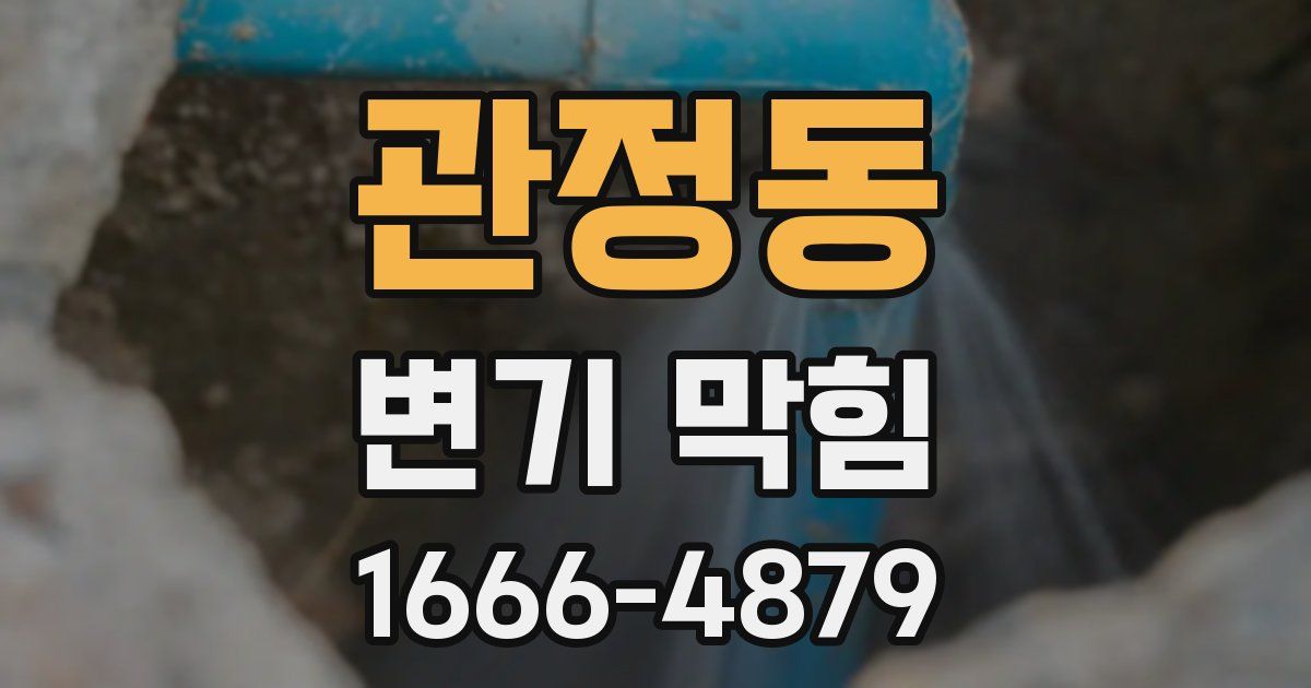 관정동 변기 막힘