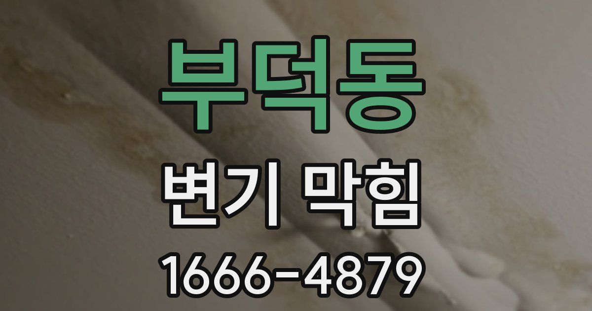 부덕동 변기 막힘