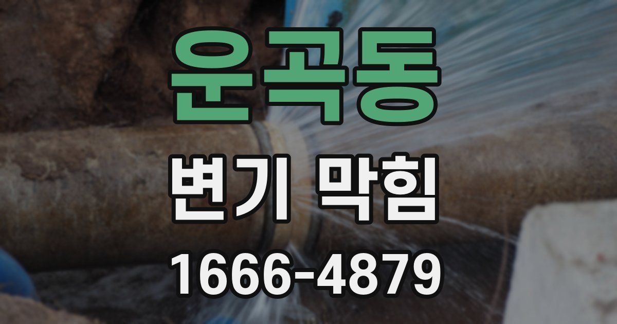 운곡동 변기 막힘