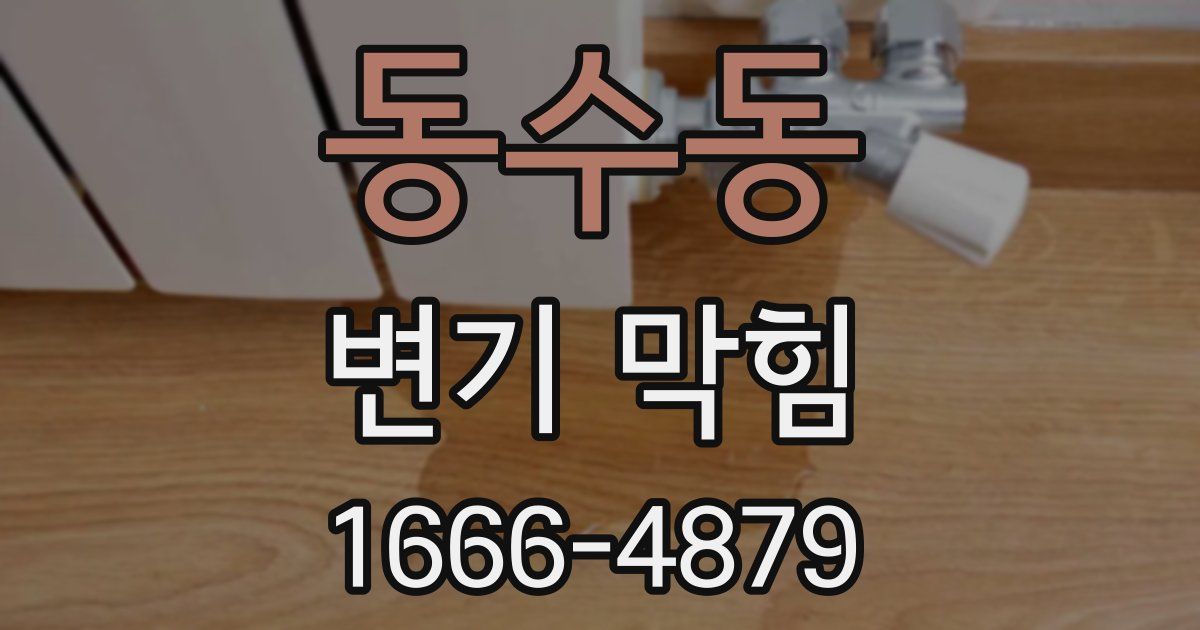 동수동 변기 막힘