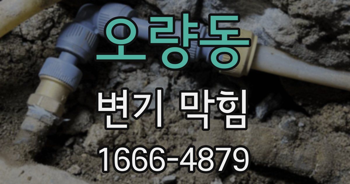 오량동 변기 막힘