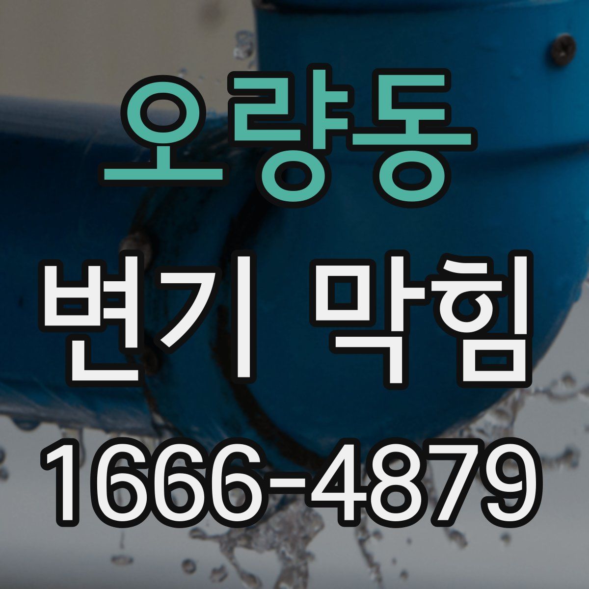 오량동 변기 막힘
