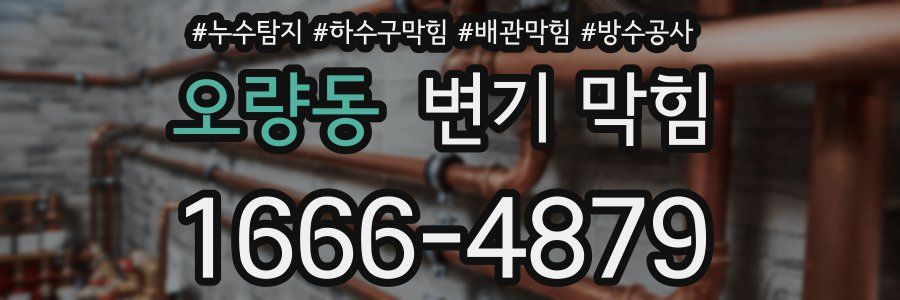 오량동 변기 막힘