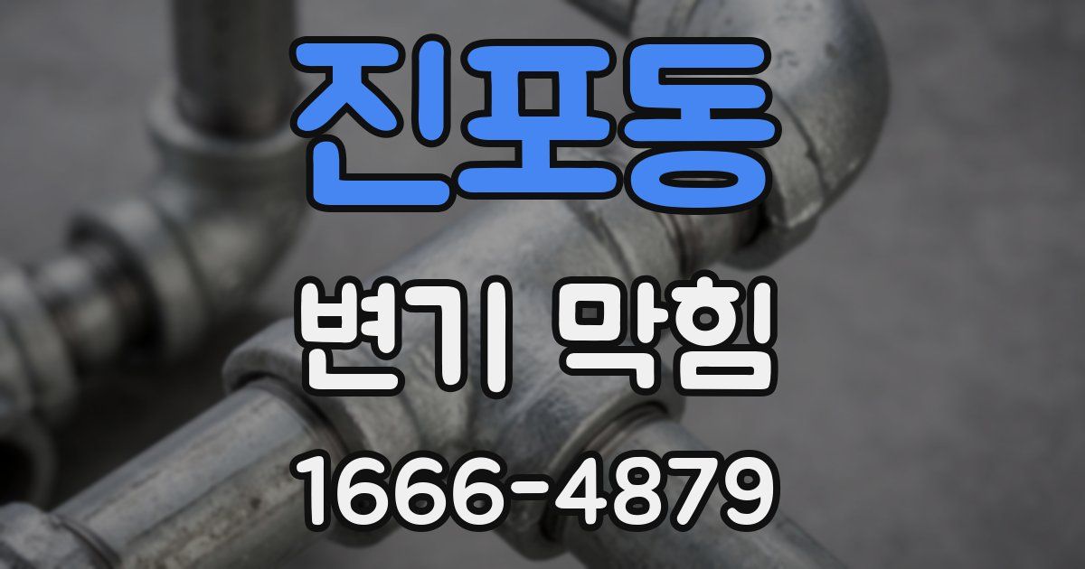 진포동 변기 막힘