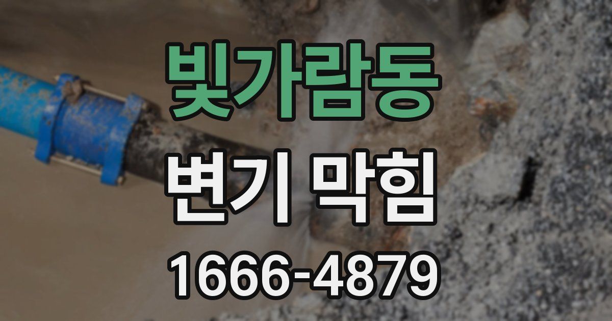 빛가람동 변기 막힘