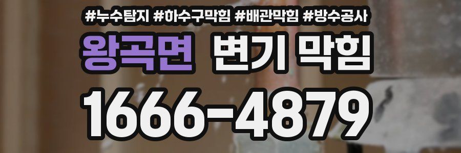왕곡면 변기 막힘