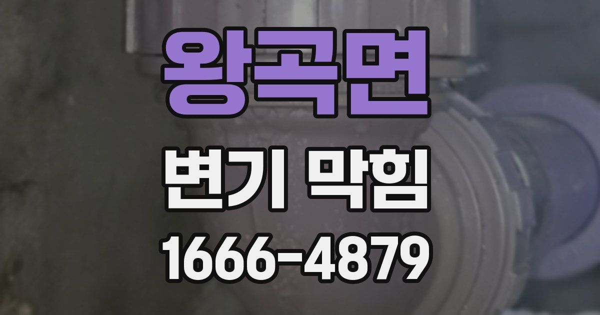 왕곡면 변기 막힘