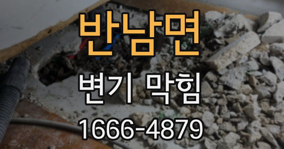 반남면 변기 막힘