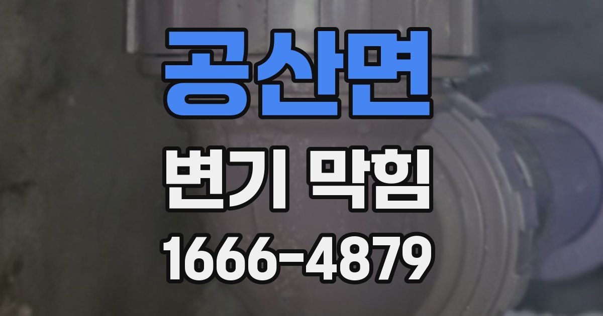 공산면 변기 막힘
