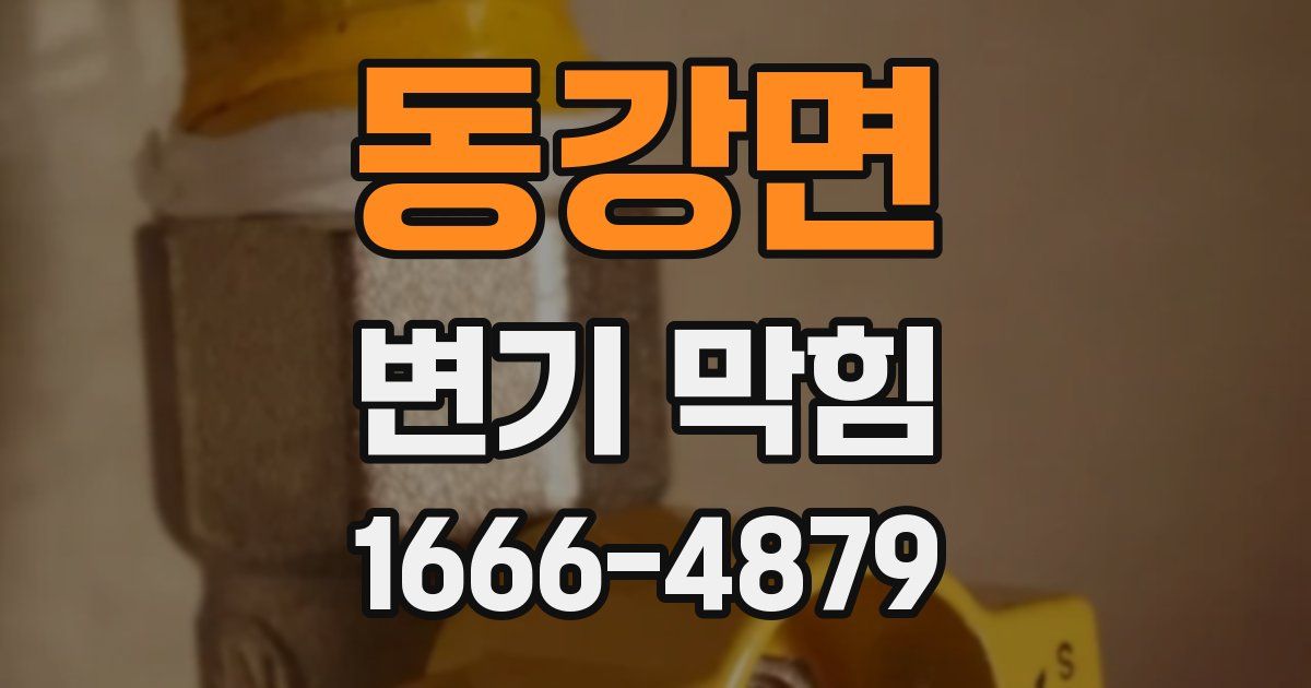 동강면 변기 막힘