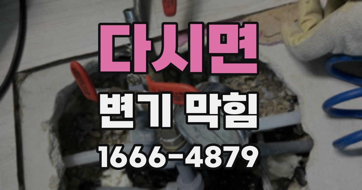 다시면 변기 막힘