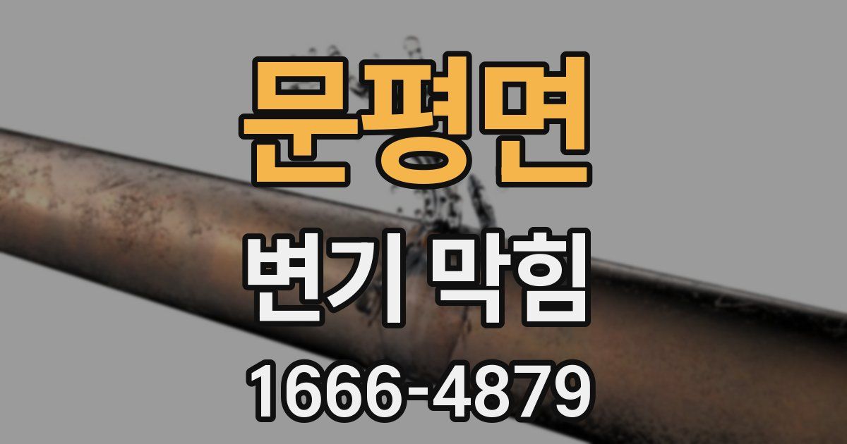 문평면 변기 막힘