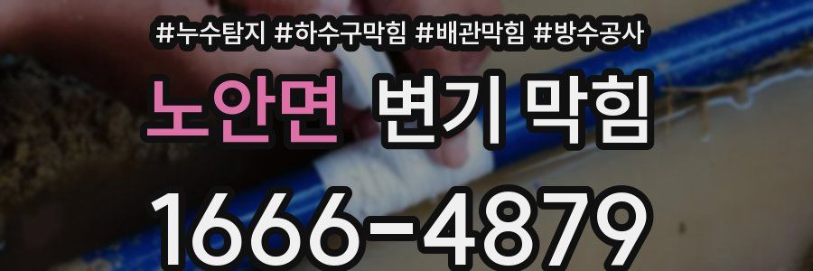 노안면 변기 막힘